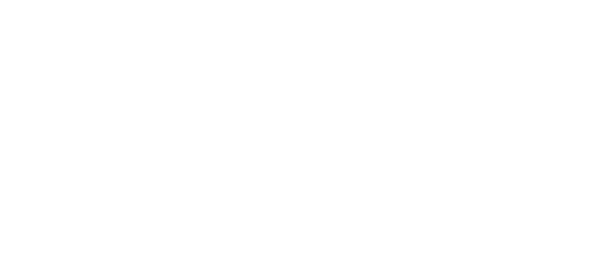 VOICE